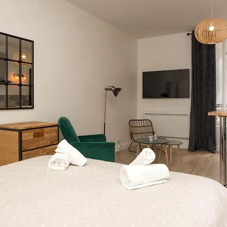Grand Studio Style Industriel Dans Le Centre Historique Appartement *